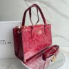 CARTERA COACH36 (3) Cartera COACH