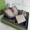 Box Cartera GUCCI