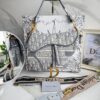 CARTERA SADDLE DIOR  GRIS CLASICO