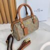 CARTERA COACH