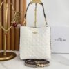 CARTERA COACH